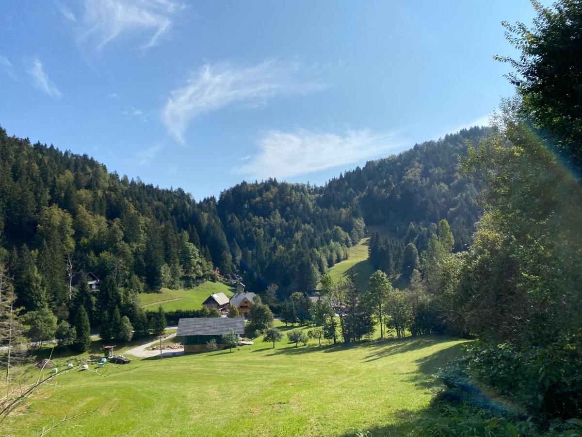 Apartma Jure * Zgornje Gorje